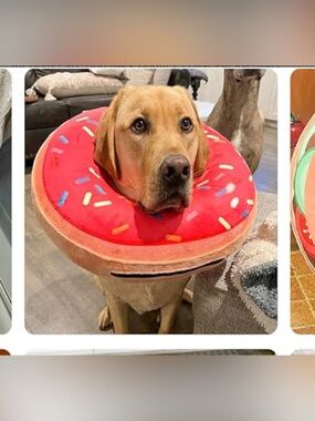 (3) Donut Inflatable Soft Recovery Collar for Dogs - Red Sprinkle size xs